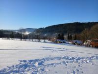 20250118_142918 (1024x768).jpg